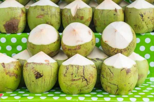 발리 패키지여행 kelapa muda.jpg