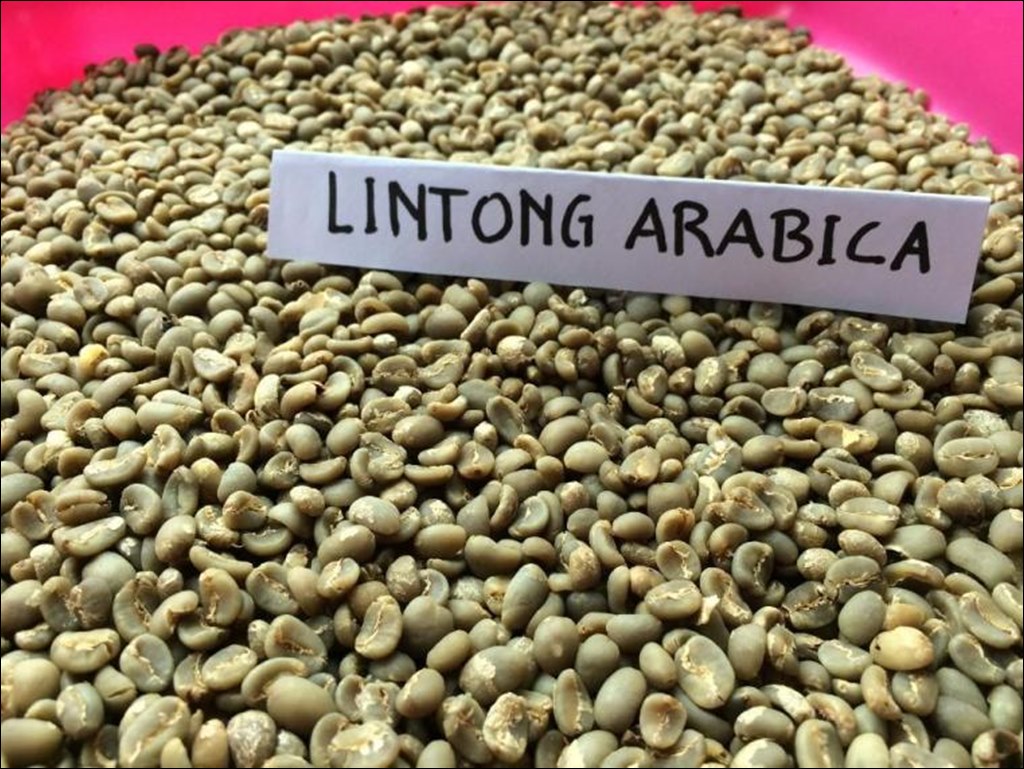 인도네시아 지역별커피 Kopi Lintong.jpg