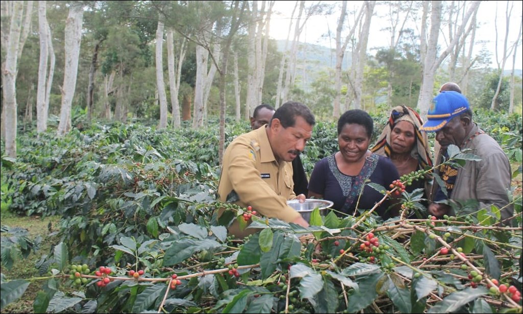 인도네시아 지역별커피 25022020-Petani-Kopi-Wamena-.jpeg