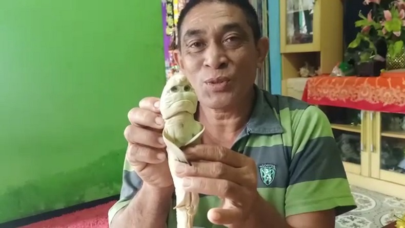 ikan_hiu_berwajah_mirip_manusia.jpg