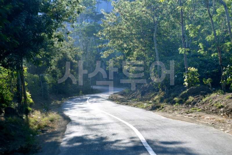 ptpn 커피DSC_5734.jpg