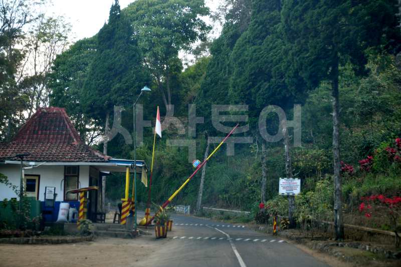 ptpn 커피DSC_5740.jpg