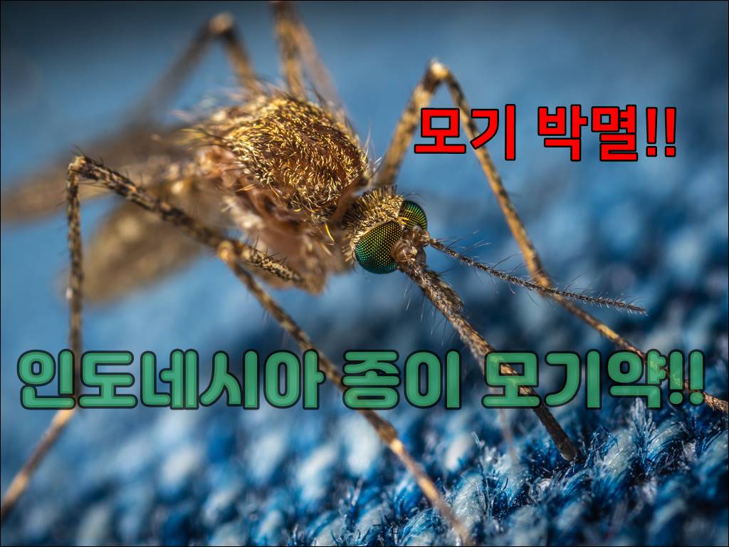 인도네시아 모기약001.jpg