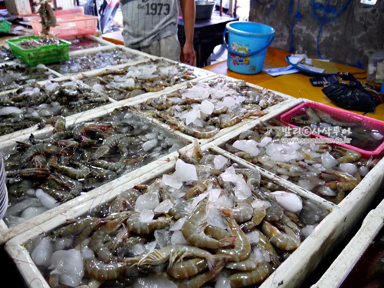 P1010193.jpeg