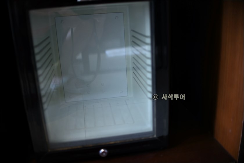 골든튤립009.JPG