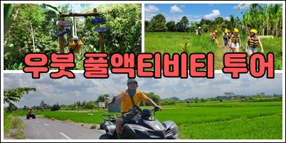 우붓 풀.jpg