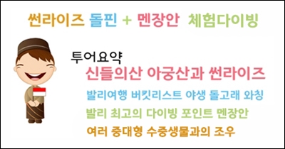 썬라이즈 돌핀2.jpg