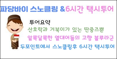 파당바이 스노클링.jpg