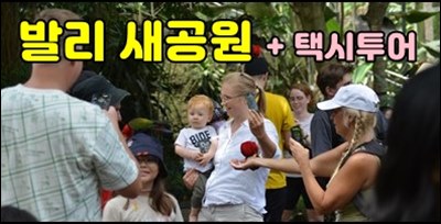 새공원상품11001.JPG