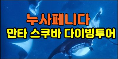 누사페니다 다이빙투어!!001.jpg