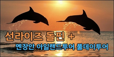 돌핀.jpg