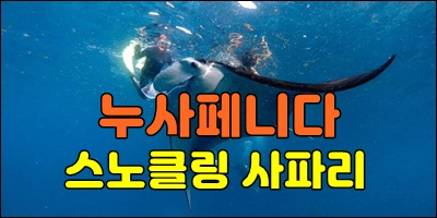 만타스노클링001.jpg