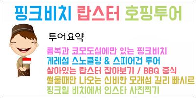 핑크비치 람스터 호핑투어.jpg