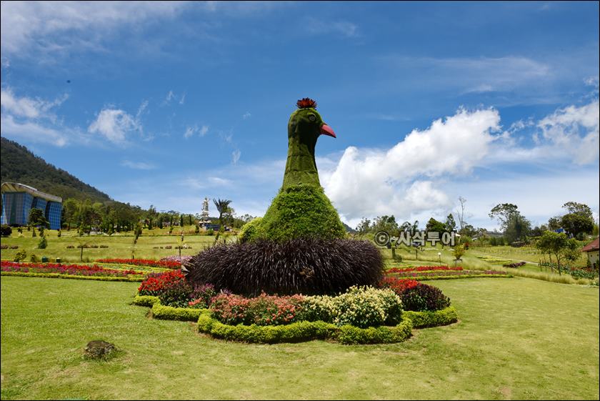 The_Blooms_Garden_Budugul050.jpg