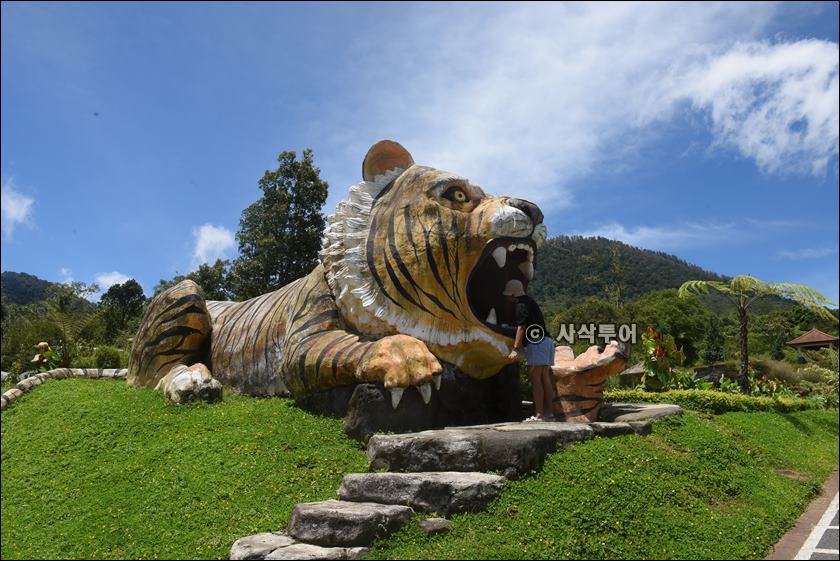 The_Blooms_Garden_Budugul056.jpg
