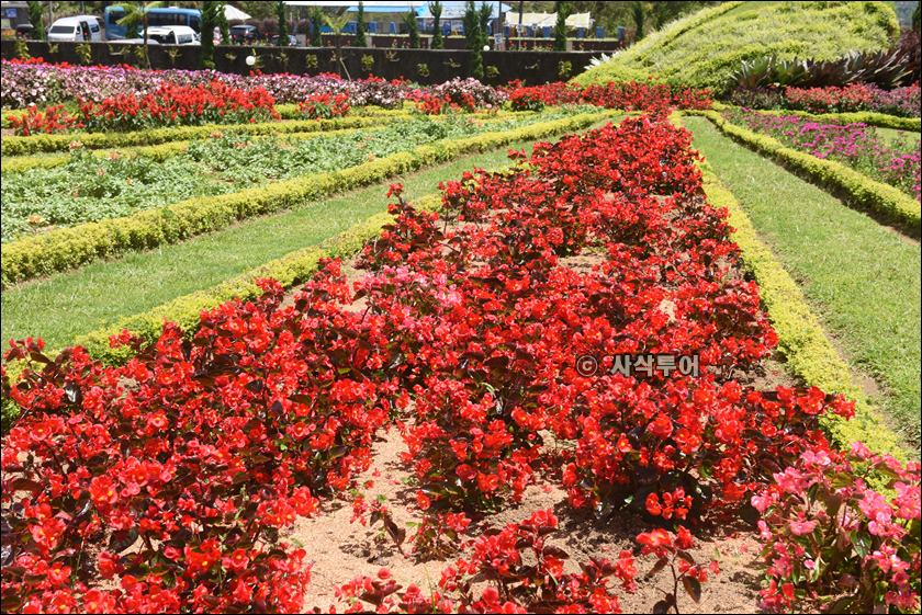 The_Blooms_Garden_Budugul044.jpg