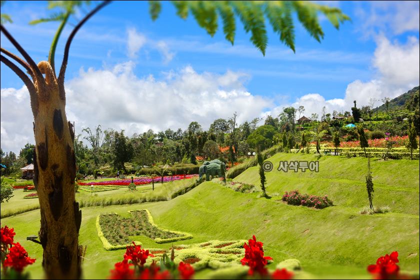 The_Blooms_Garden_Budugul029.jpg