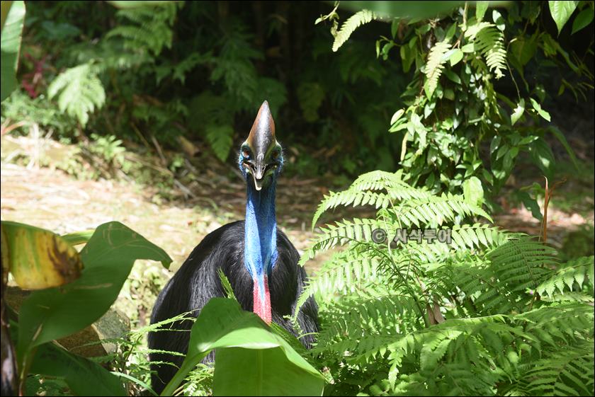 tasta zoo026.JPG