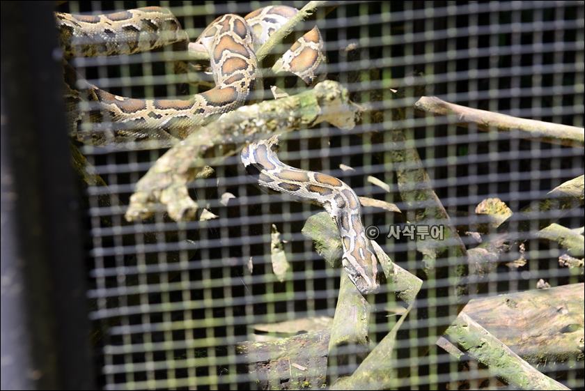 tasta zoo044.JPG