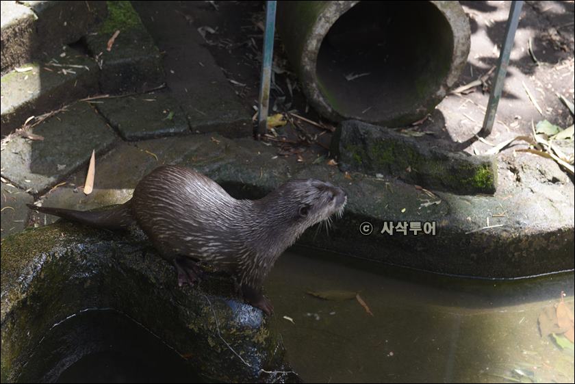 tasta zoo053.JPG