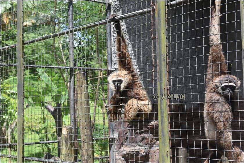 tasta zoo063.JPG