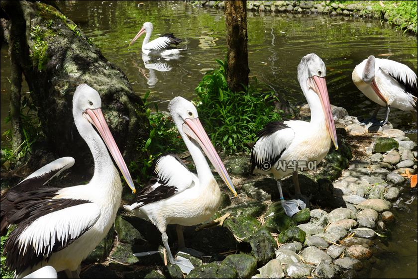 tasta zoo040.JPG