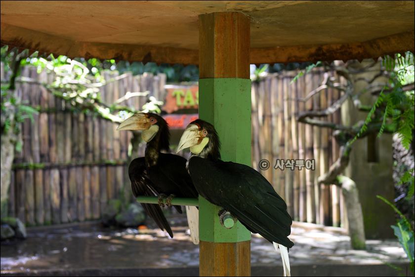 tasta zoo041.JPG