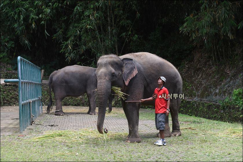 tasta zoo086.JPG