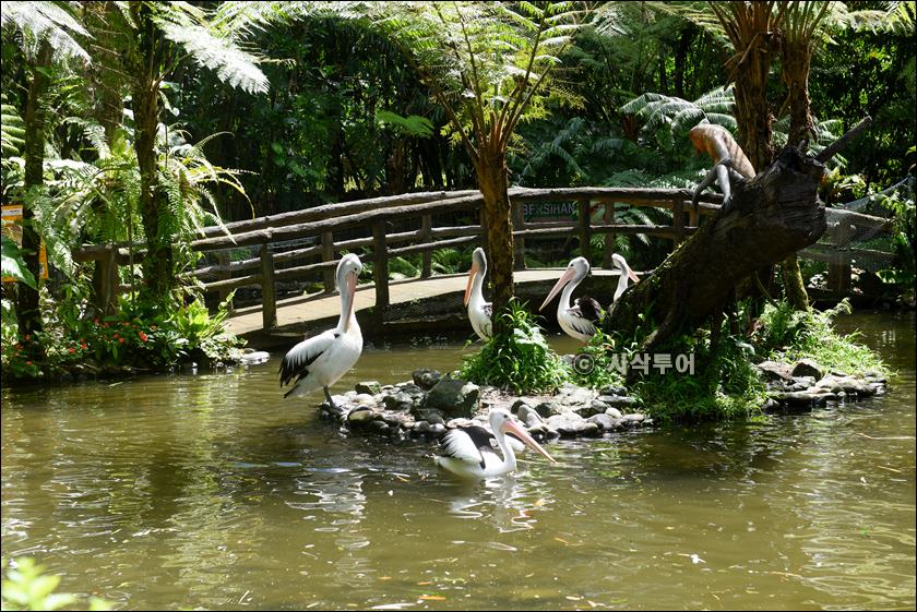 tasta zoo034.JPG