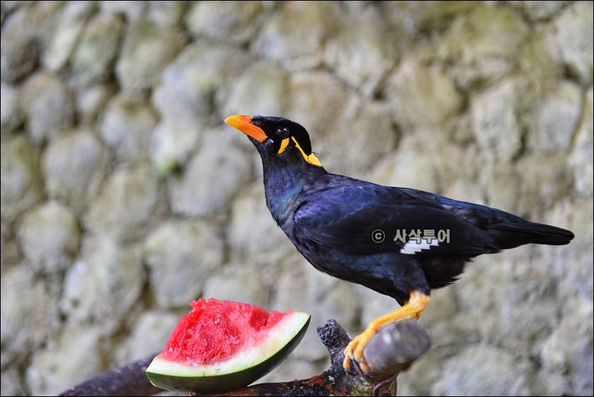 tasta zoo010.JPG