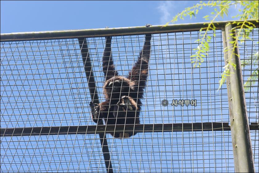 tasta zoo060.JPG