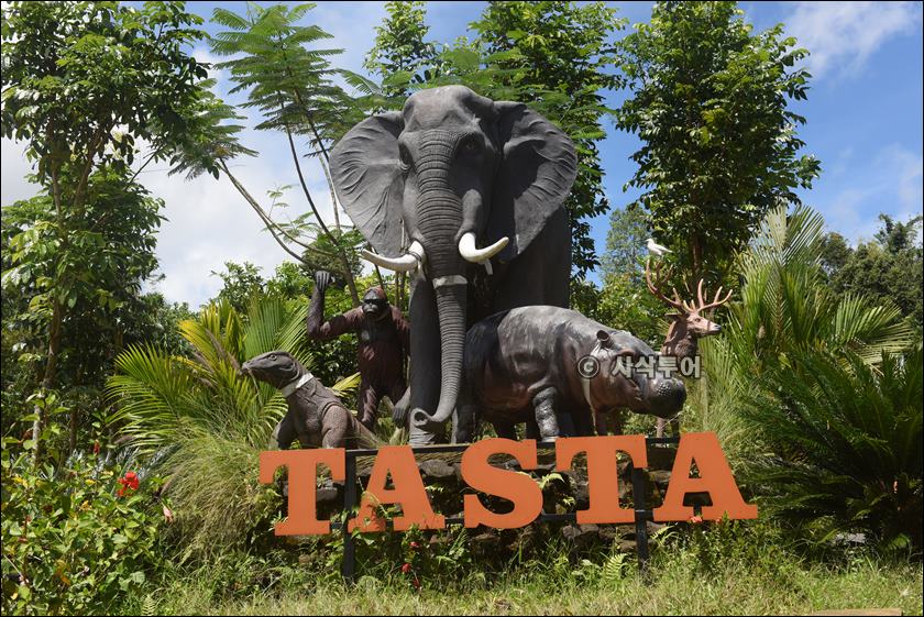 tasta zoo073.JPG