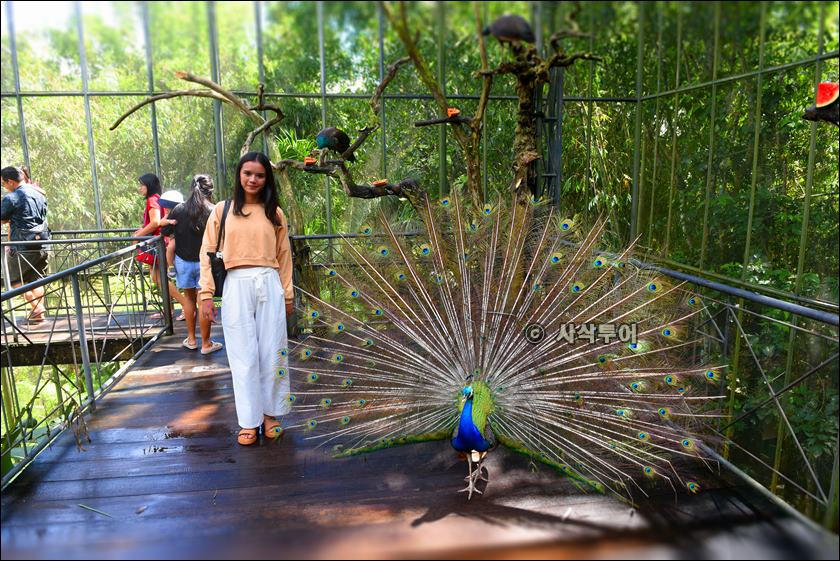 tasta zoo019.JPG