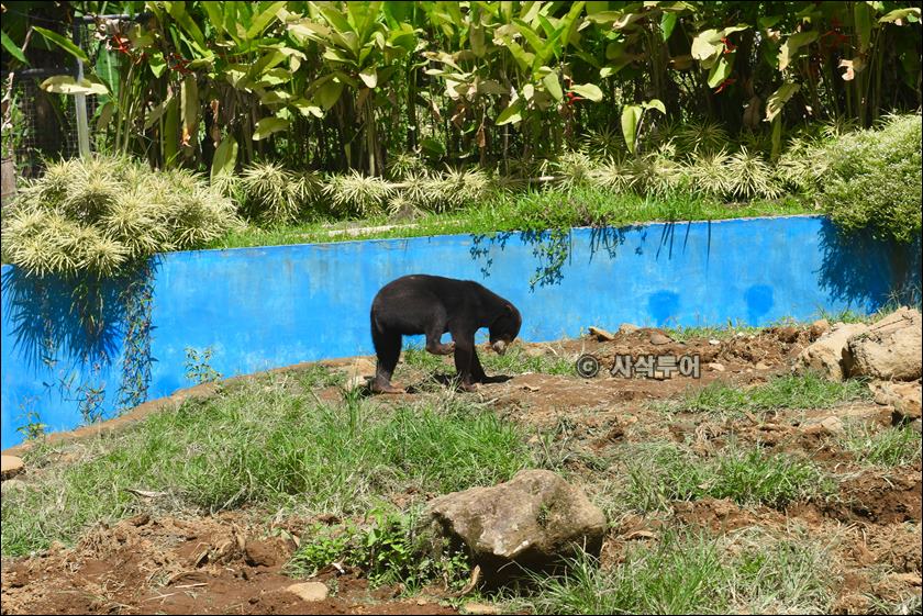 tasta zoo047.JPG