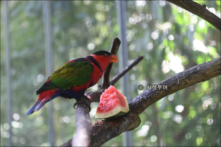 tasta zoo011.JPG