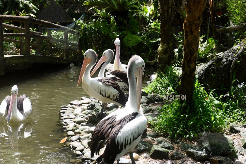 tasta zoo036.JPG