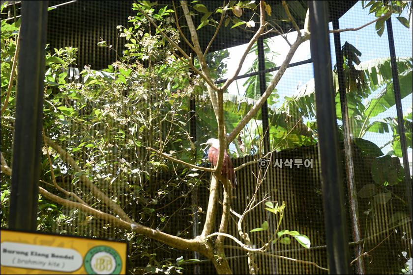 tasta zoo007.JPG