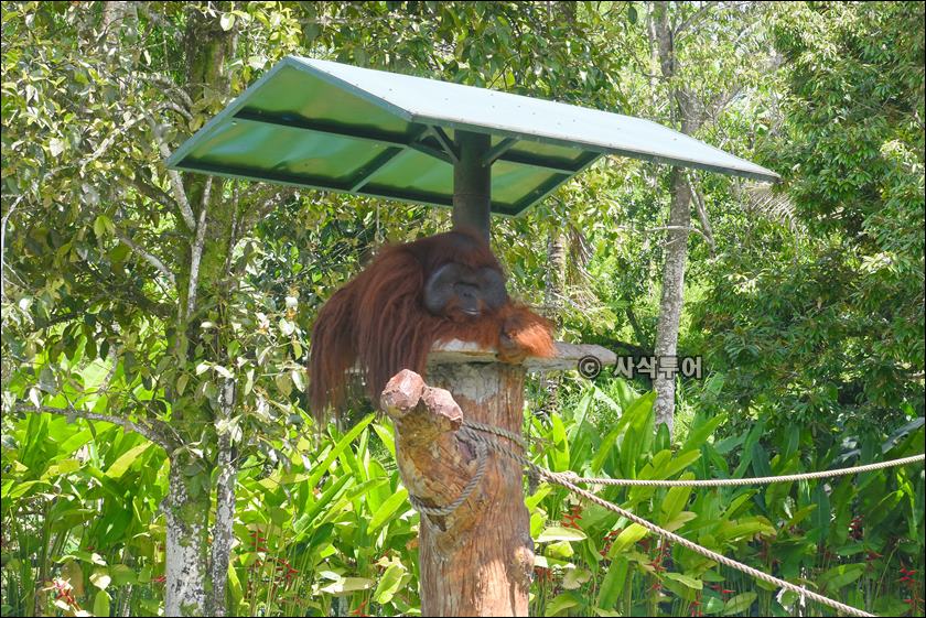 tasta zoo050.JPG