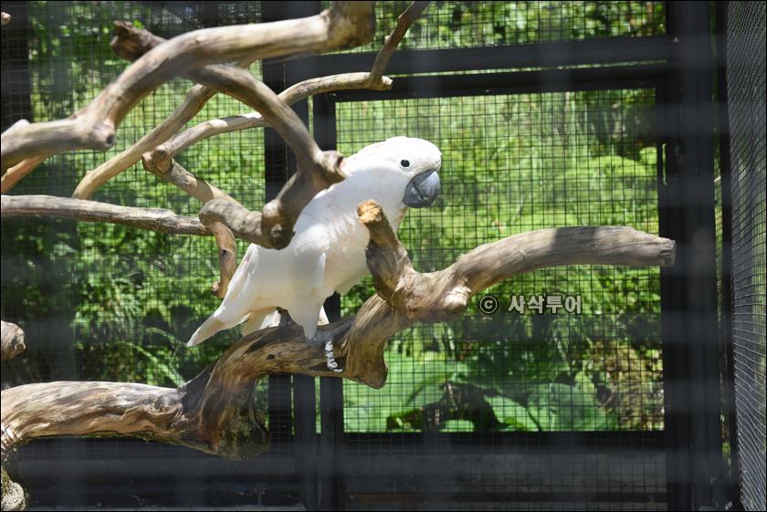 tasta zoo072.JPG