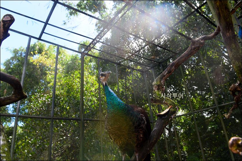 tasta zoo023.JPG