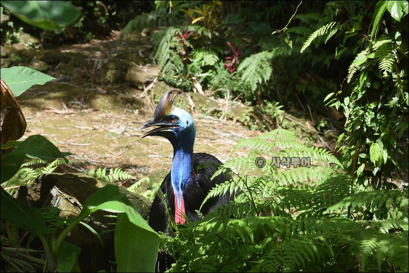 tasta zoo028.JPG