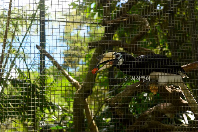 tasta zoo006.JPG