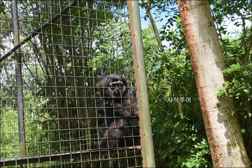 tasta zoo058.JPG
