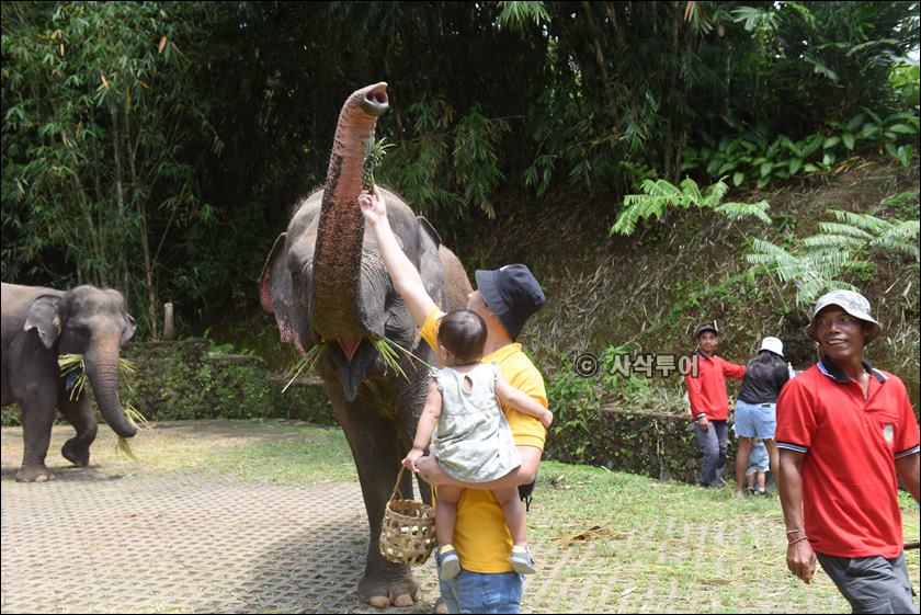 tasta zoo099.JPG