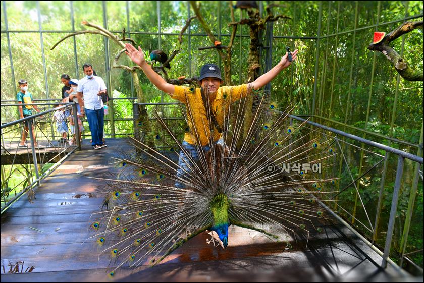 tasta zoo022.JPG