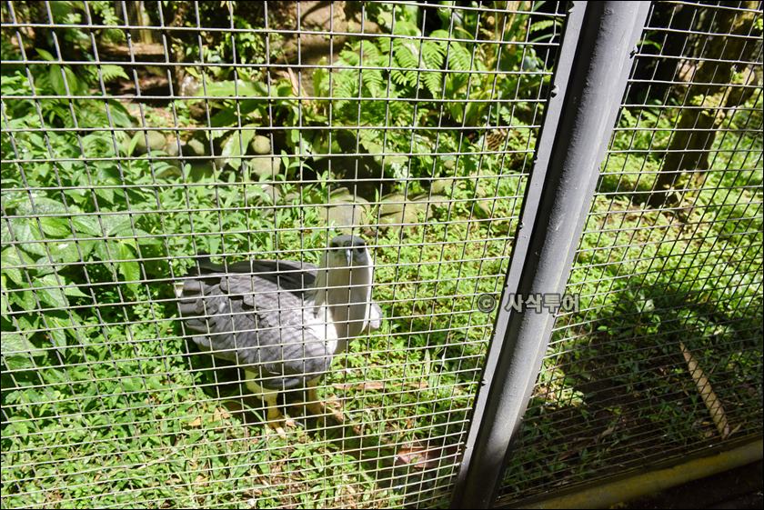 tasta zoo032.JPG