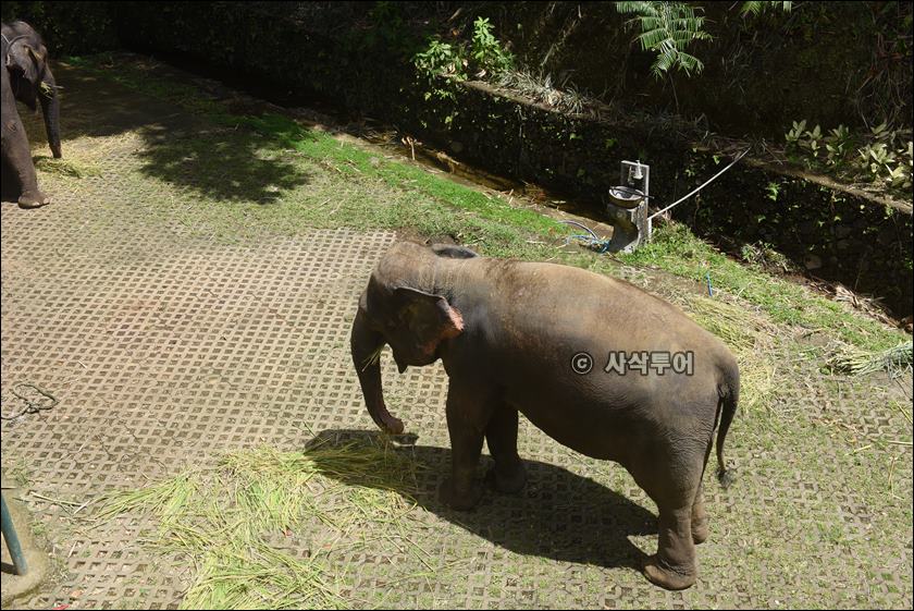 tasta zoo085.JPG
