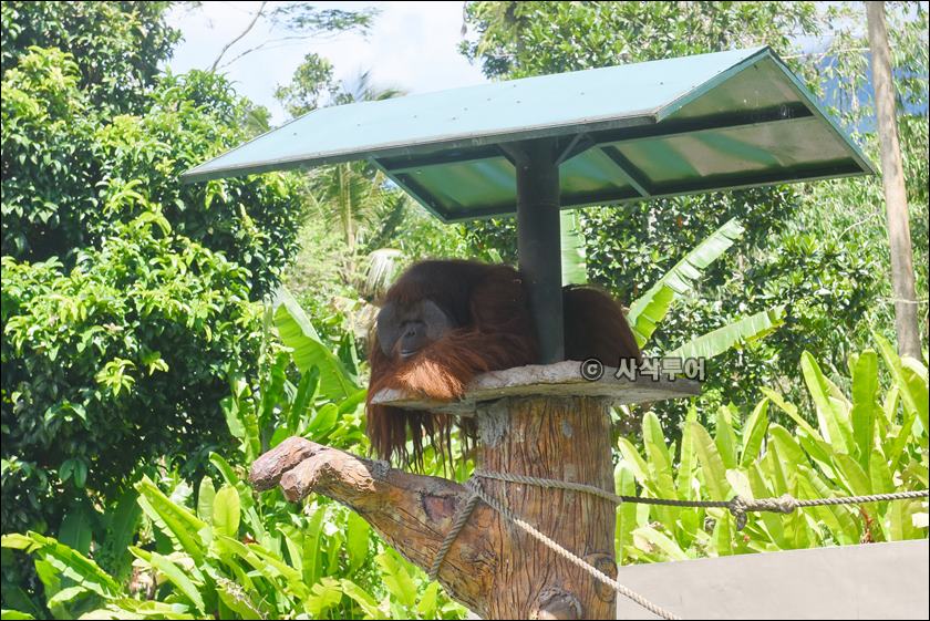 tasta zoo052.JPG