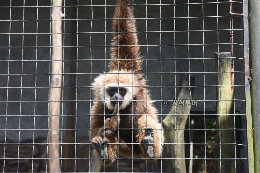 tasta zoo065.JPG