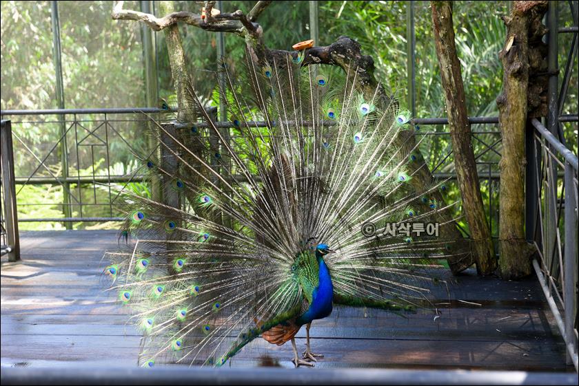 tasta zoo012.JPG